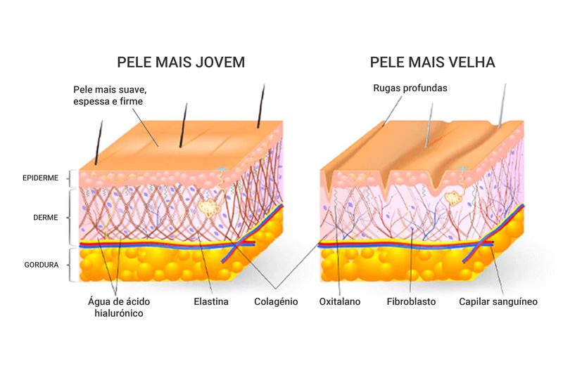 Split Block Image