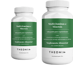 Two bottles of Theonia Multivitamins & Minerals food supplement, with added brewer’s yeast and rutin, labeled as suitable for vegetarians, each containing 60 tablets